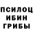 Псилоцибиновые грибы Cubensis Sasha Ramuk